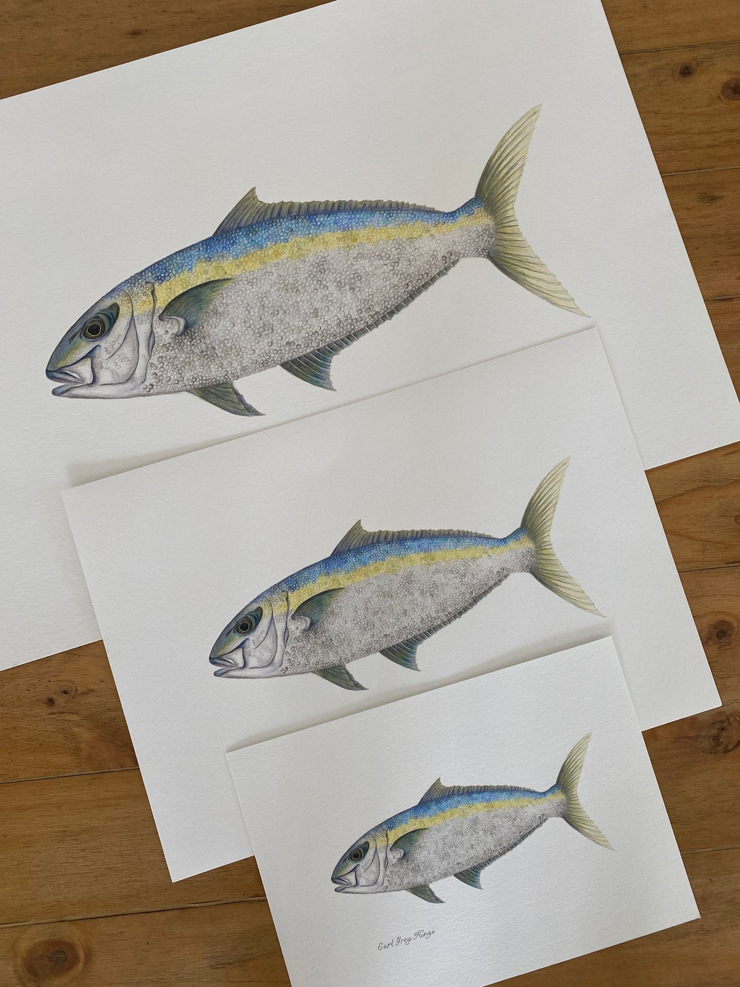 Earl Grey Kingi